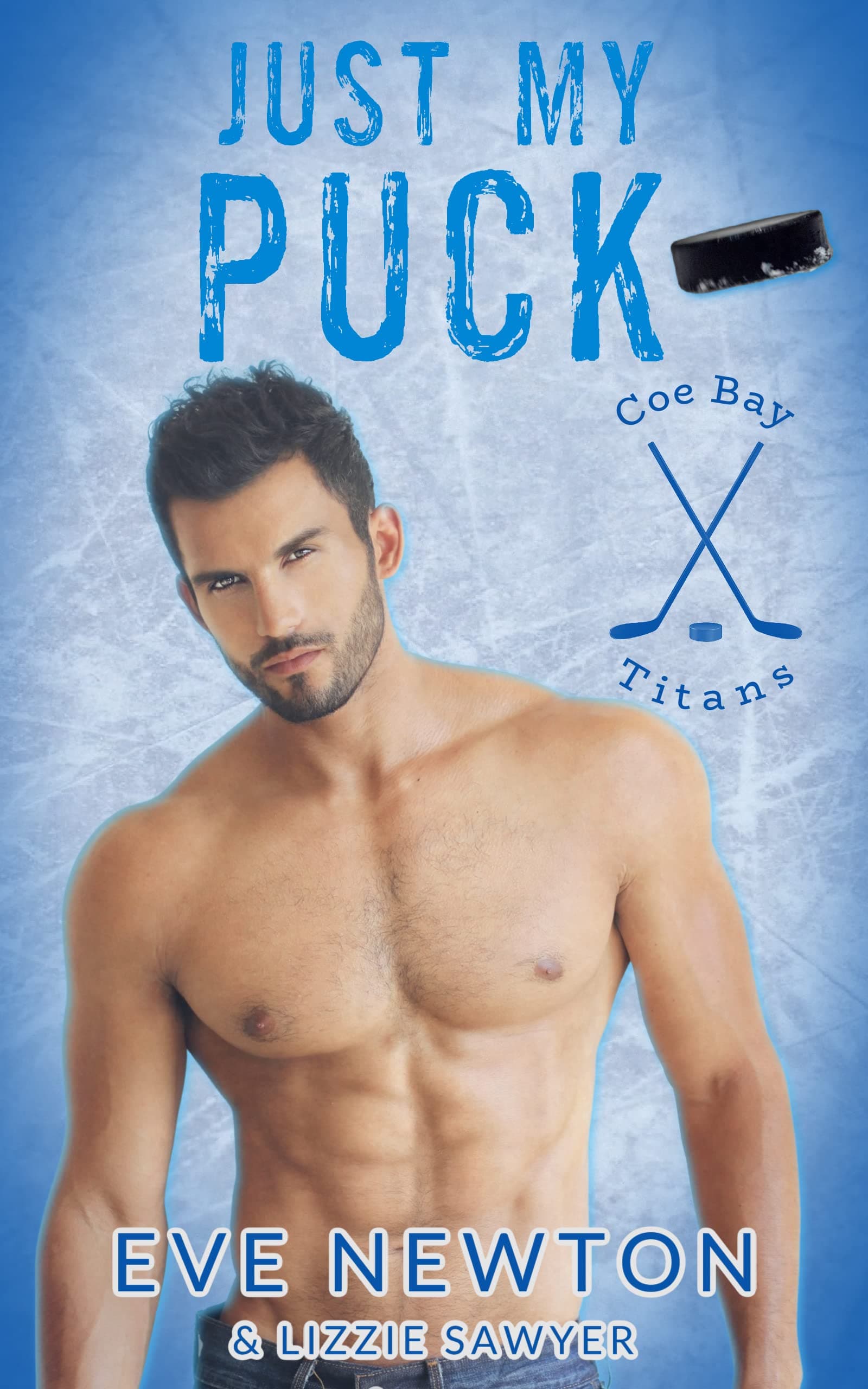 Just My Puck book cover