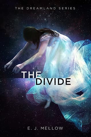 The Divide book cover