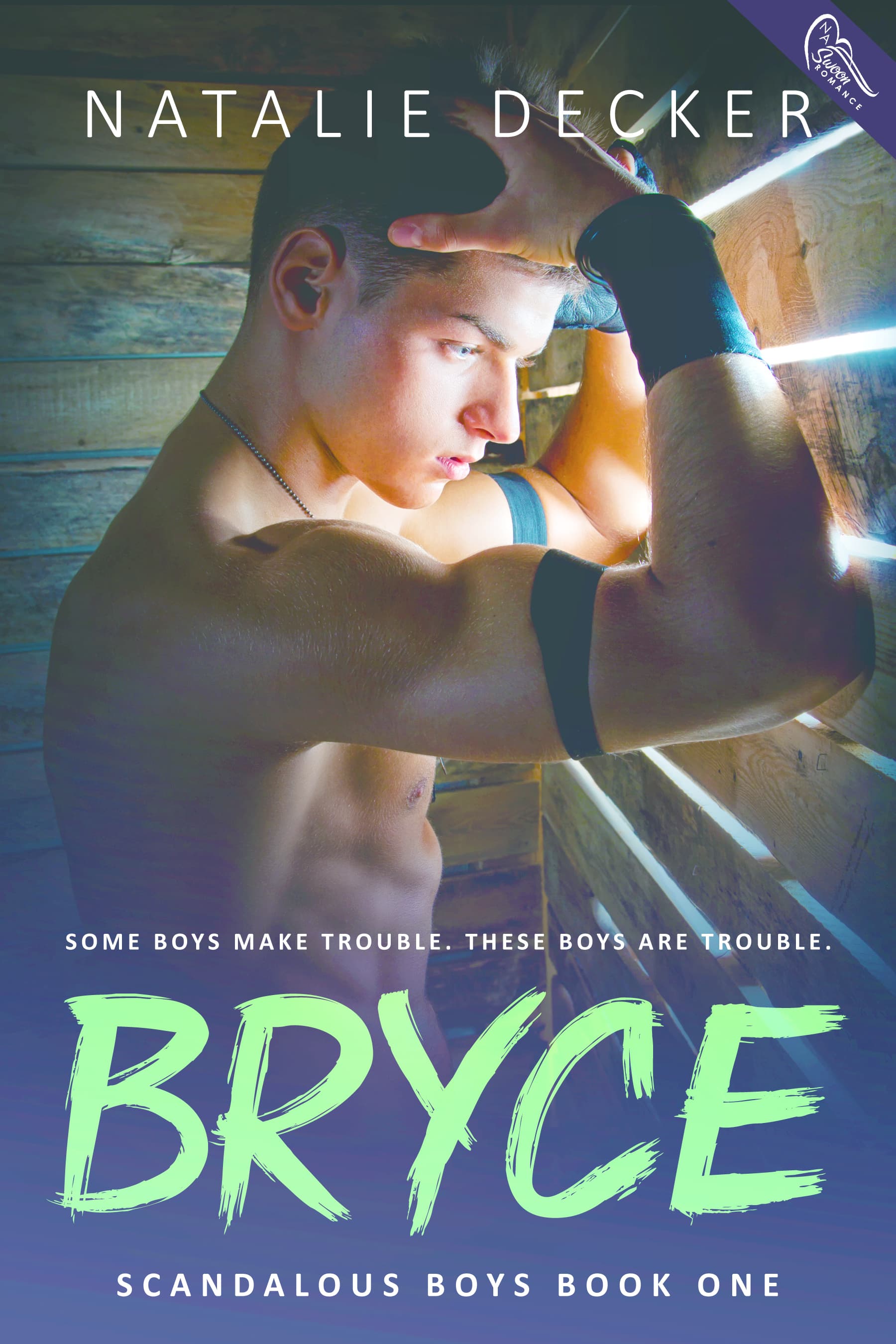 Bryce book cover