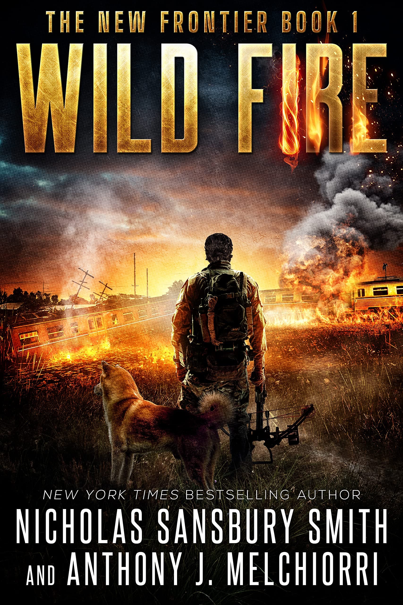Wild Fire book cover