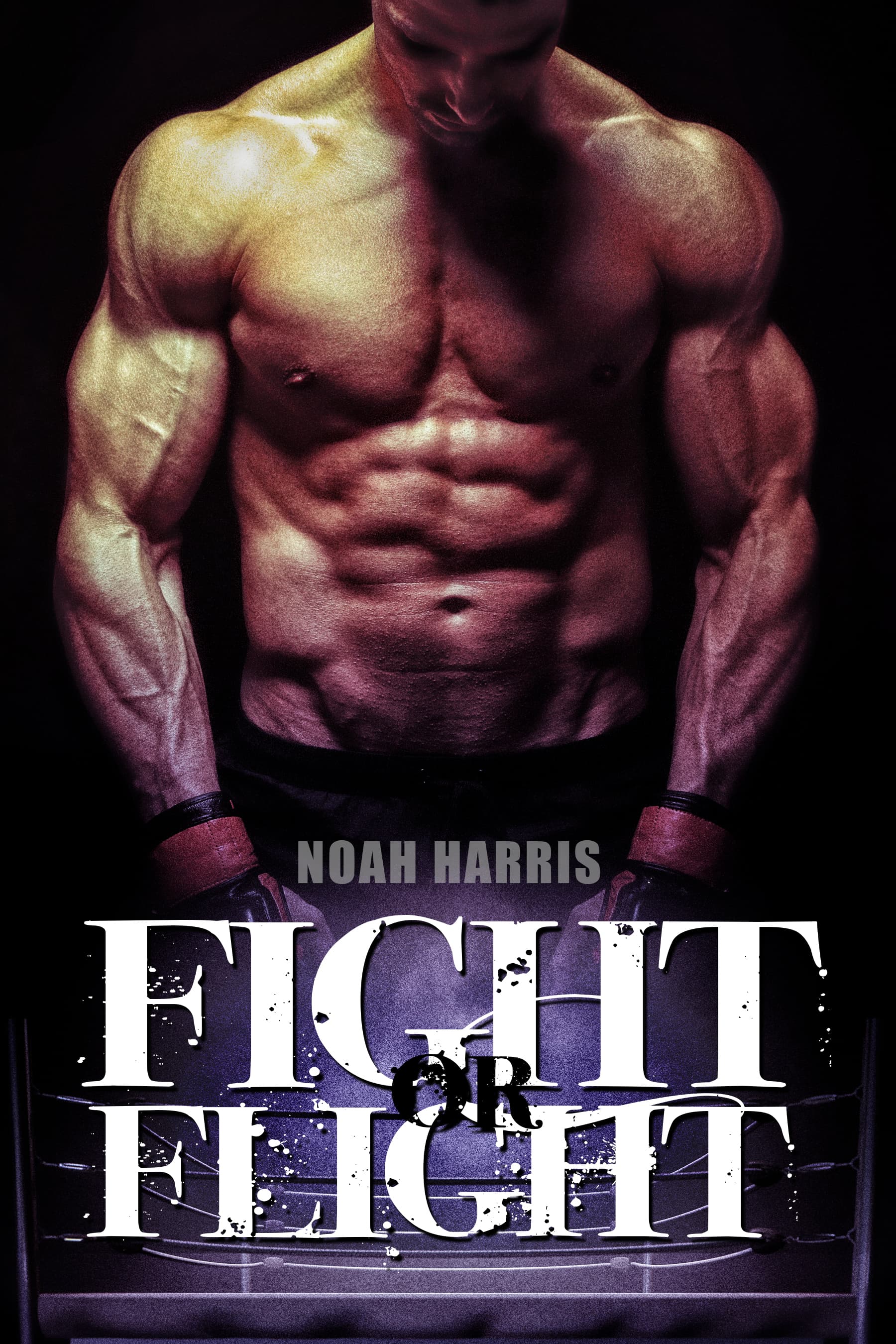 Fight or Flight book cover