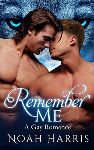 Remember Me book cover