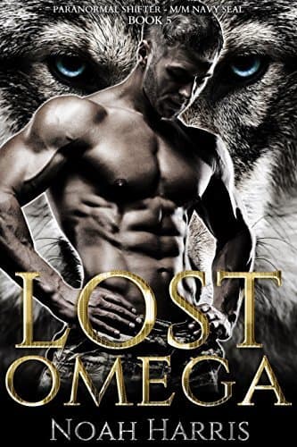 Lost Omega book cover