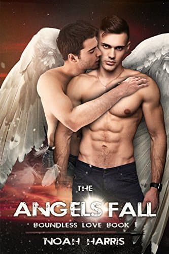 The Angels Fall book cover