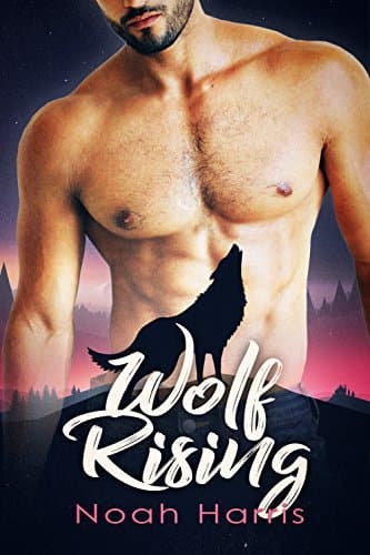 Wolf Rising book cover
