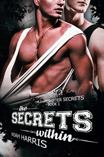 The Secrets Within book cover