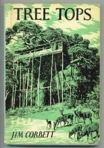 Tree Tops book cover
