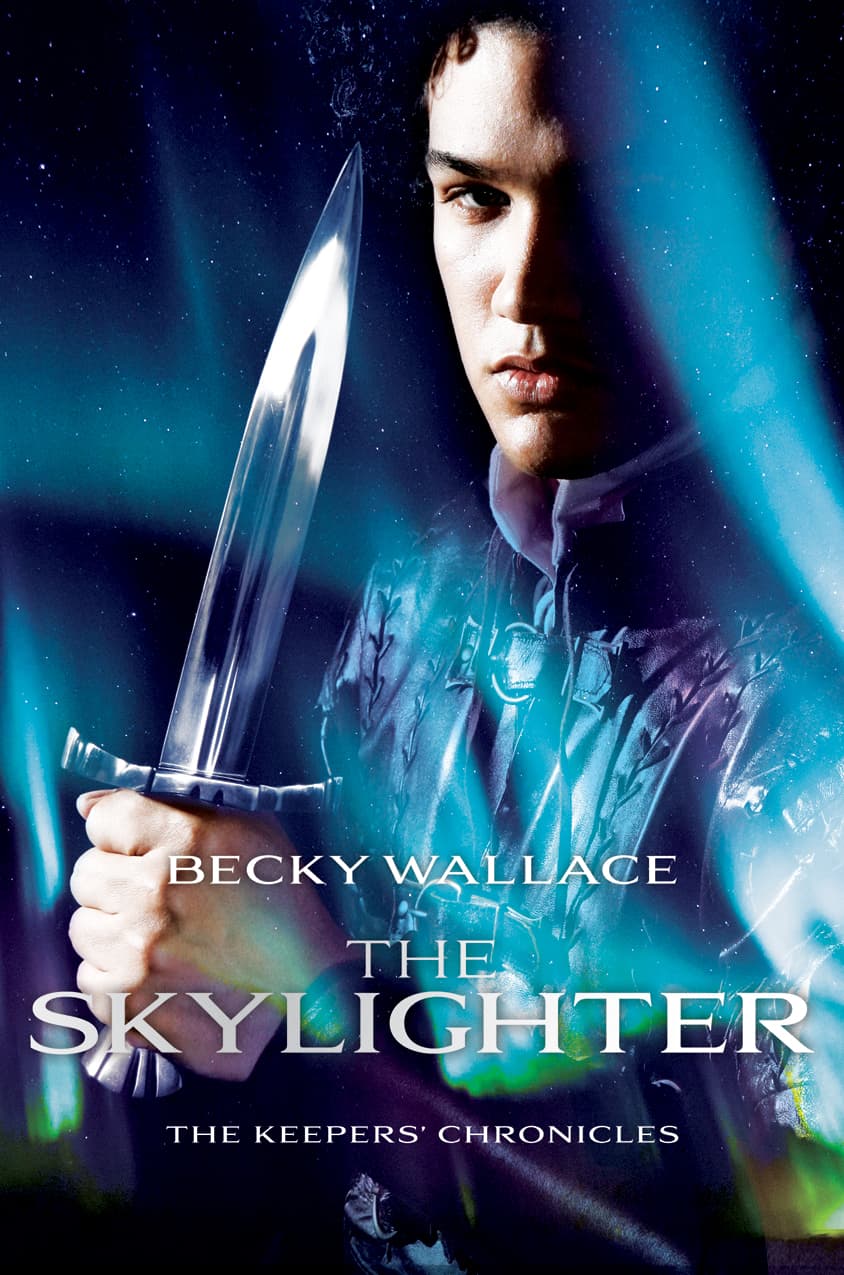 The Skylighter book cover