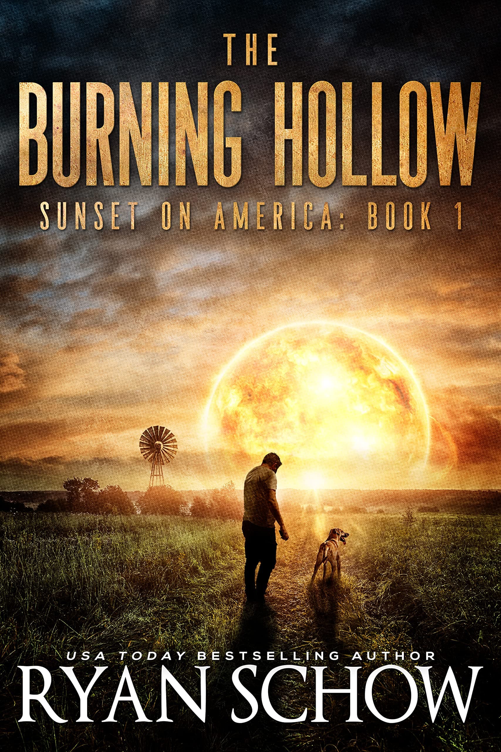 The Burning Hollow book cover