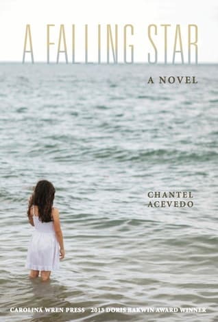 A Falling Star book cover