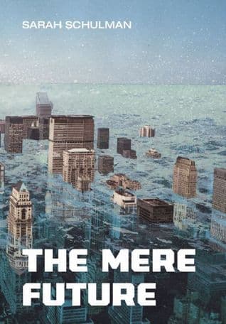 The Mere Future book cover