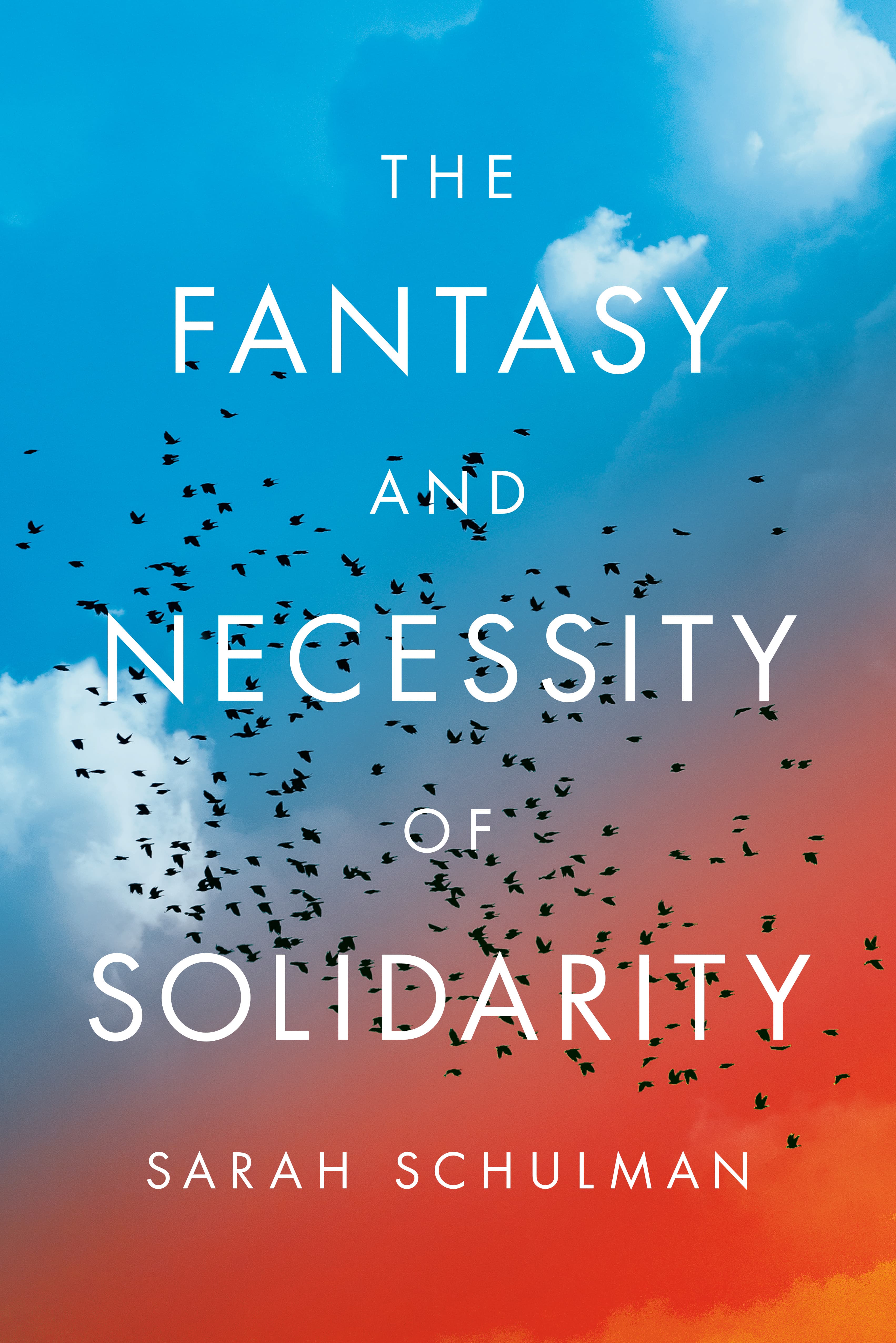 The Fantasy and Necessity of Solidarity book cover