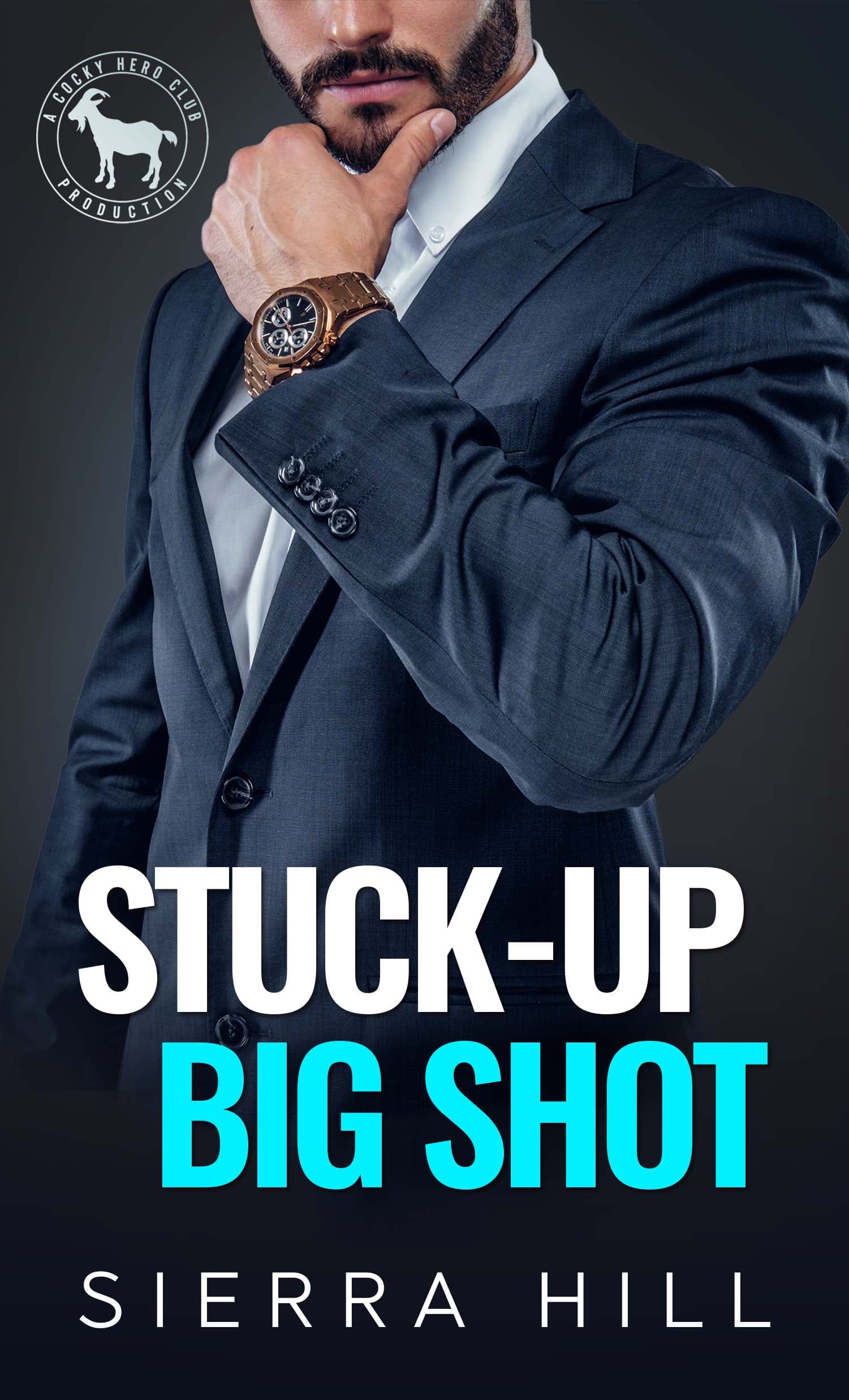 Stuck-Up Big Shot book cover