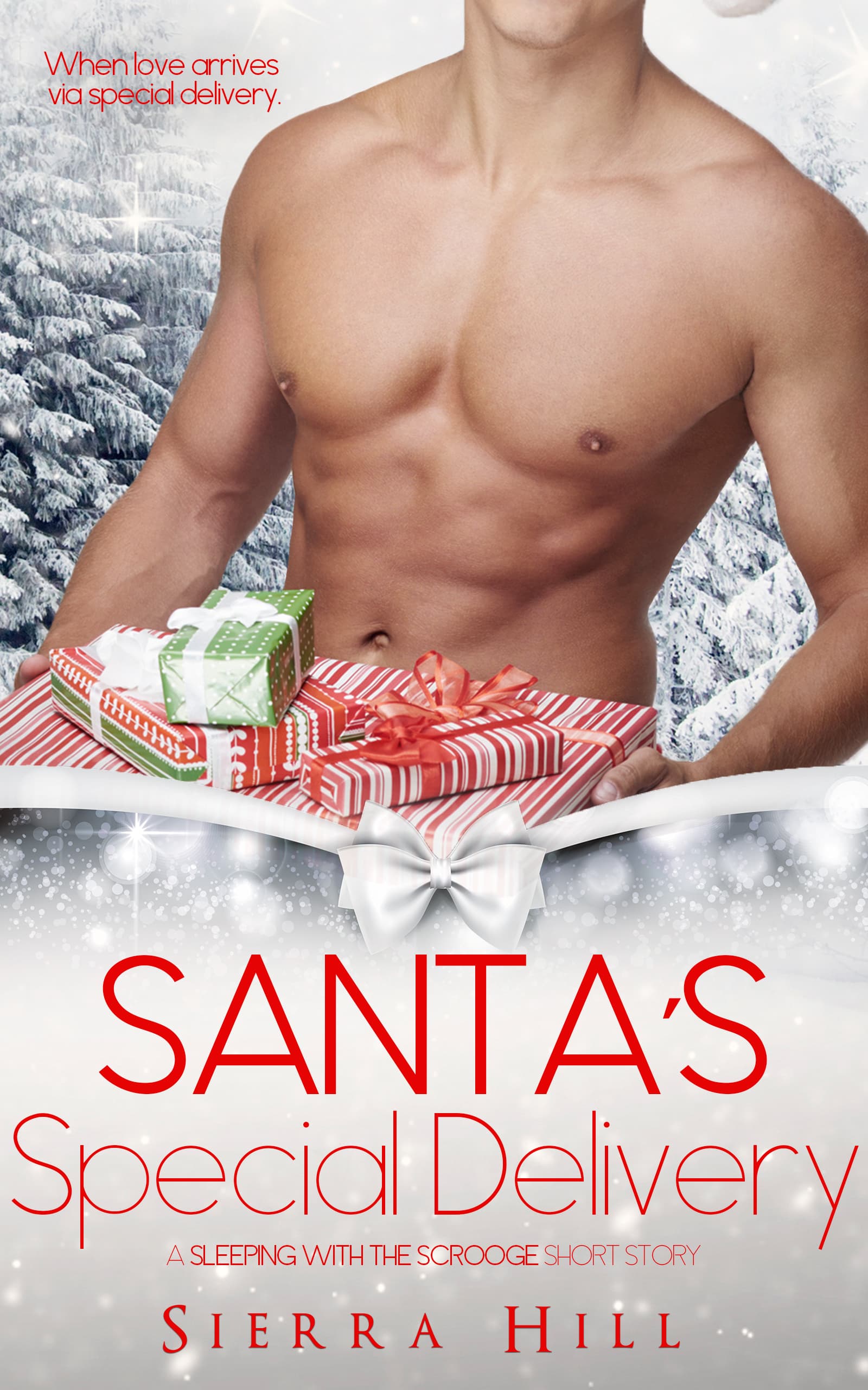 Santa's Special Delivery book cover