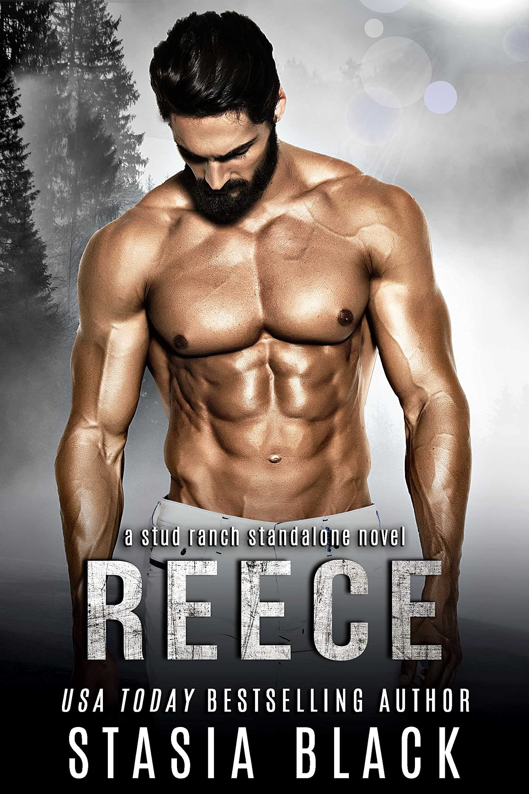 Reece book cover