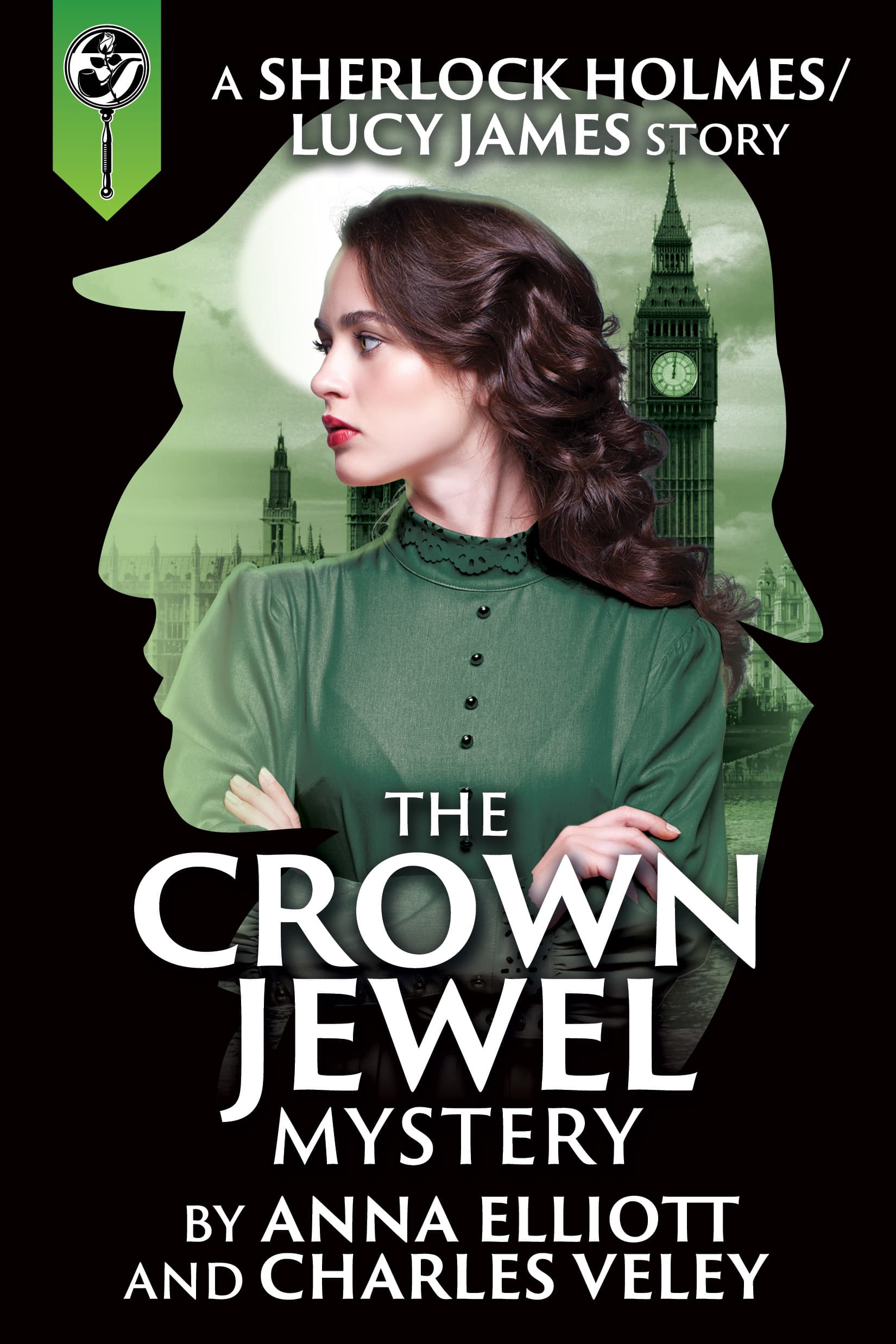 The Crown Jewel Mystery book cover