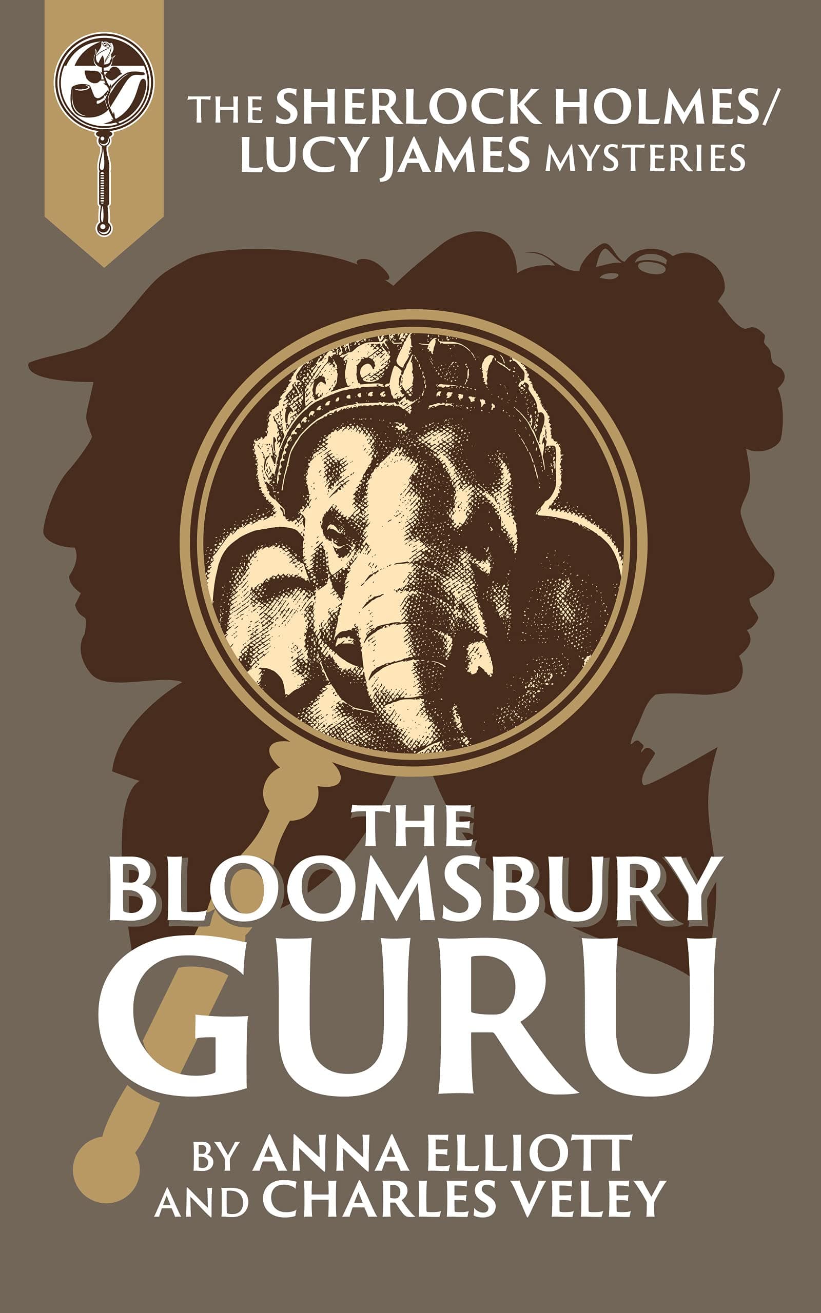 The Bloomsbury Guru book cover