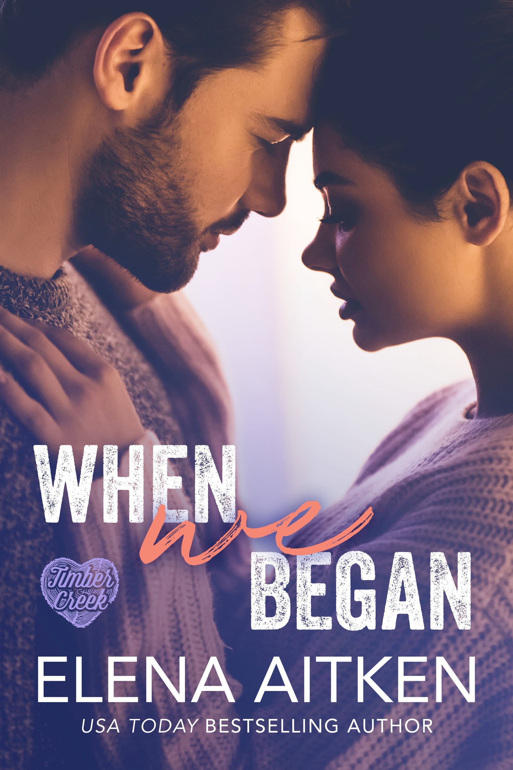 When We Began book cover