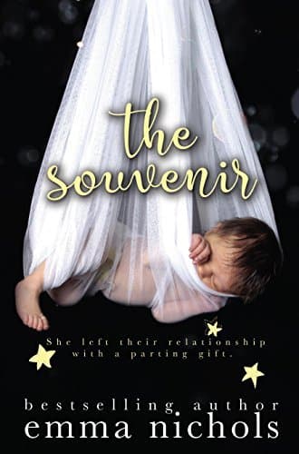 The Souvenir book cover