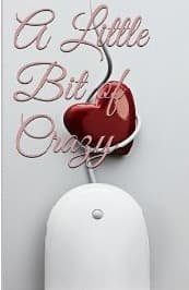 A Little Bit of Crazy book cover