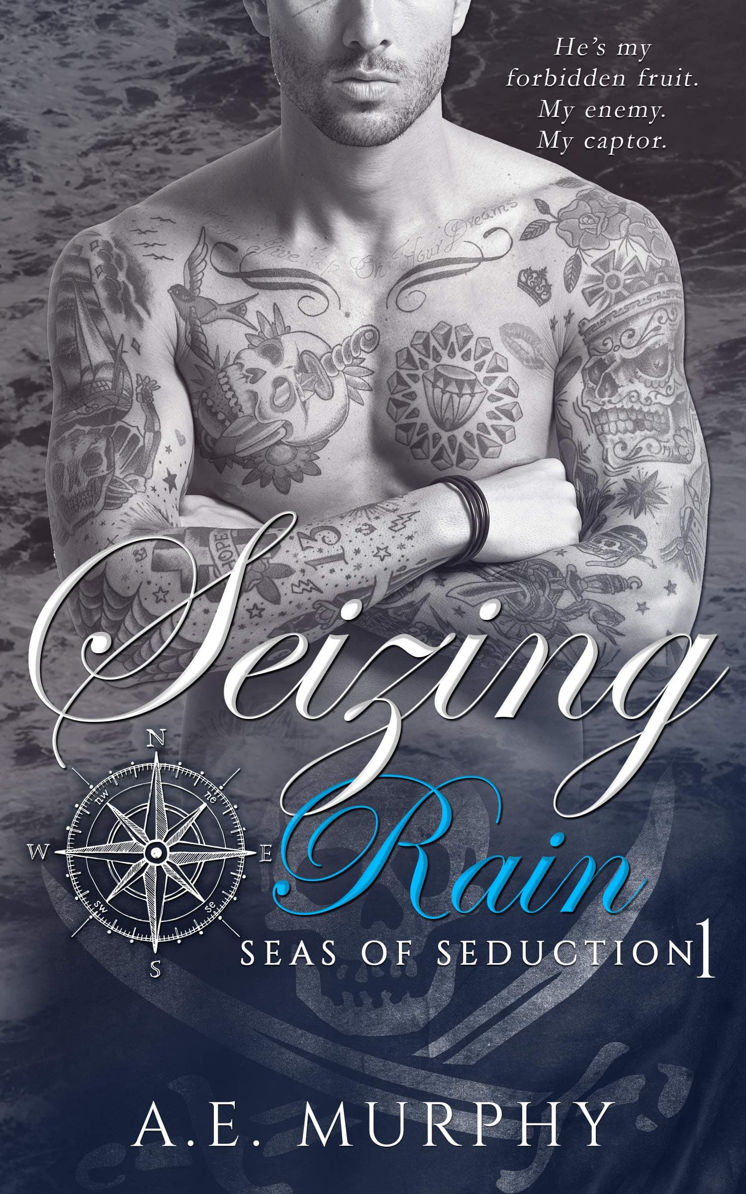 Seizing Rain book cover