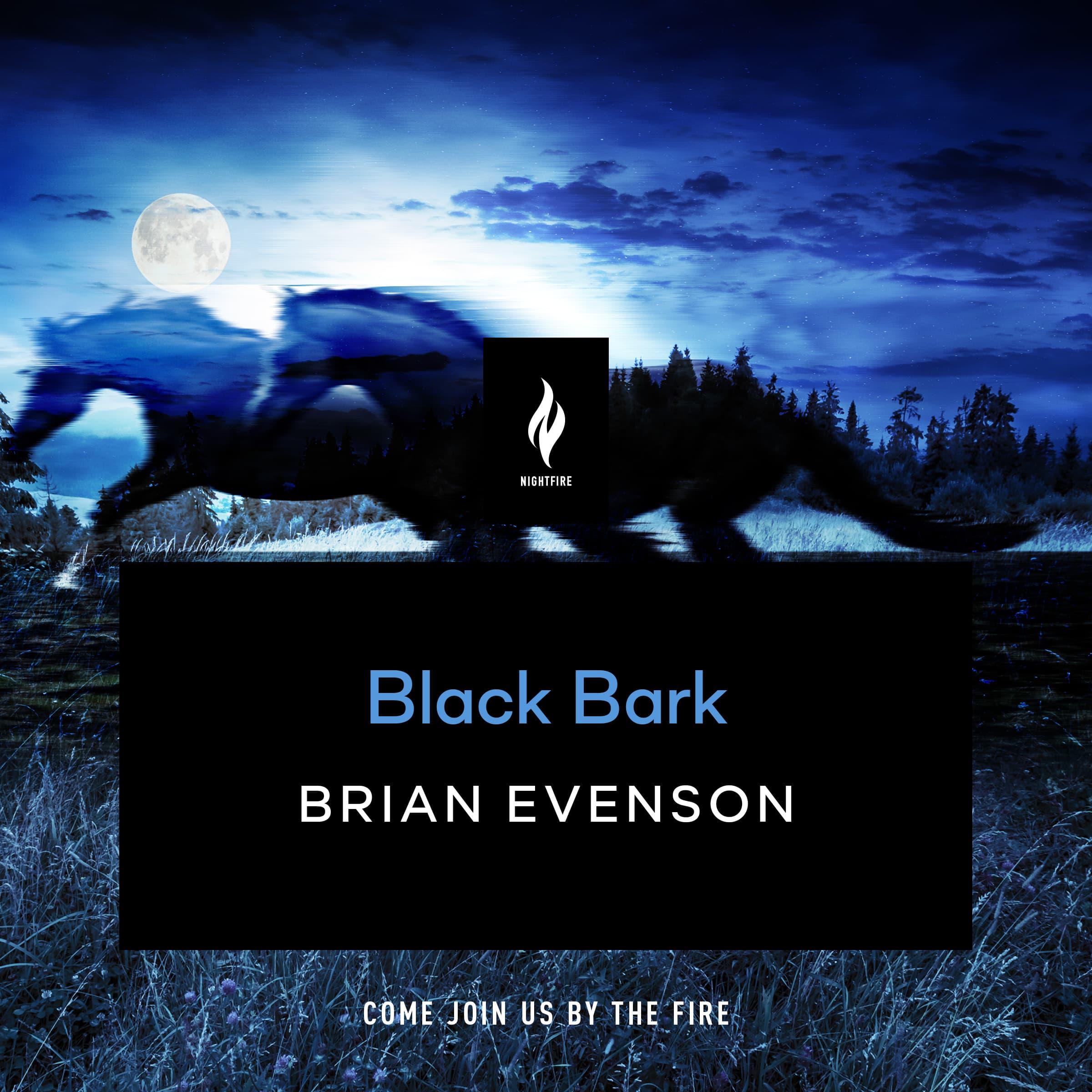 Black Bark book cover